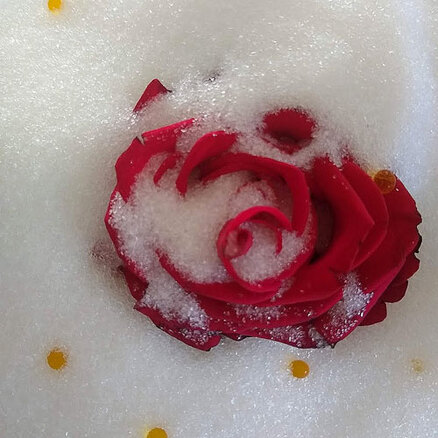 Flower Drying Crystals w/ Indicator | 5kg